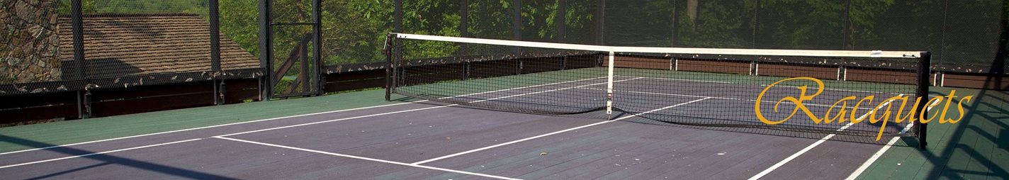 Fox Chapel Area Pickleball